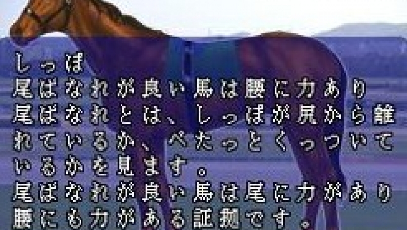 《赛马领航员 赛马支援》 日版NDS版 游戏截图 4